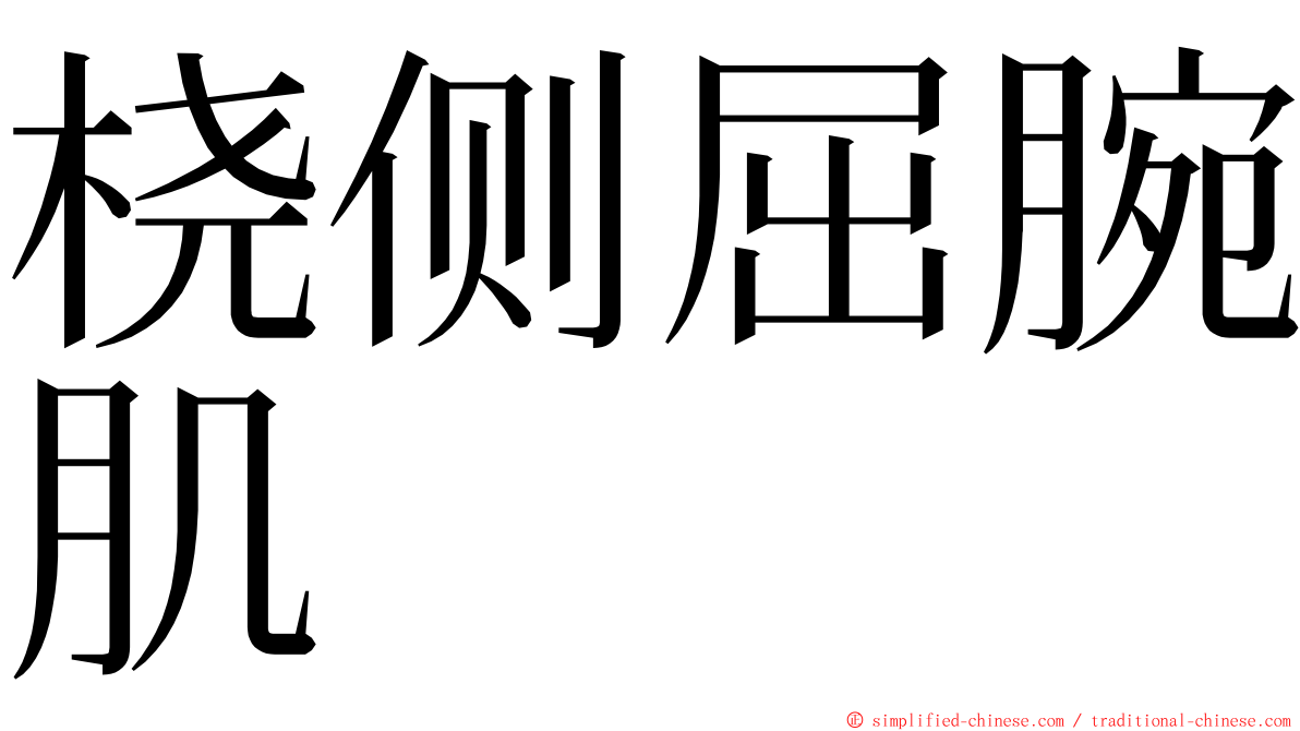 桡侧屈腕肌 ming font