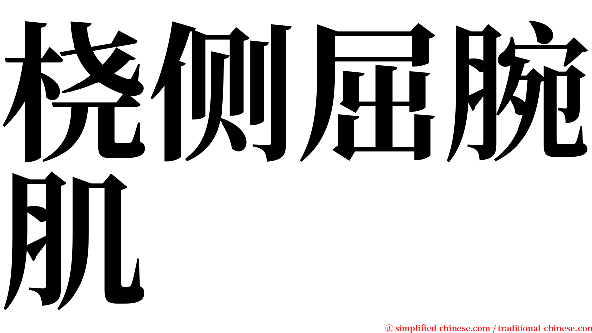 桡侧屈腕肌 serif font