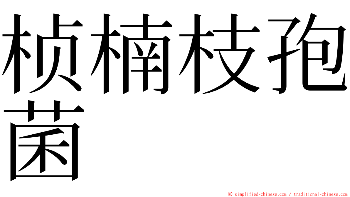 桢楠枝孢菌 ming font