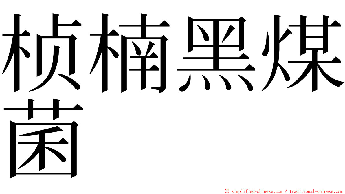 桢楠黑煤菌 ming font