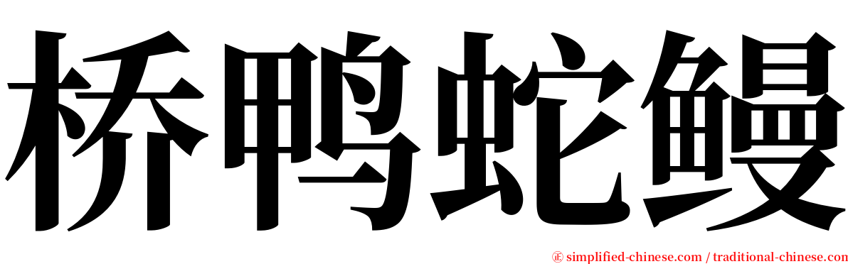 桥鸭蛇鳗 serif font