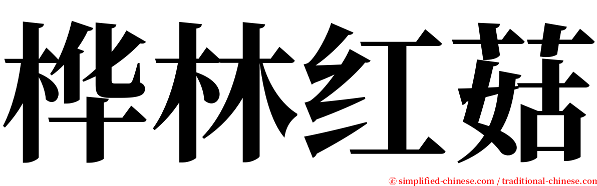 桦林红菇 serif font