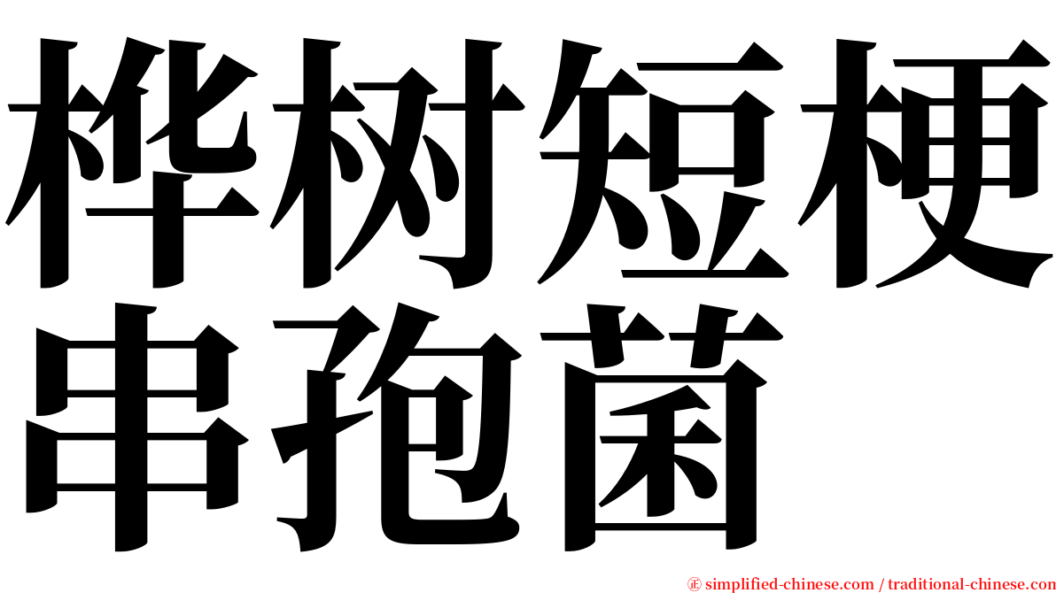 桦树短梗串孢菌 serif font