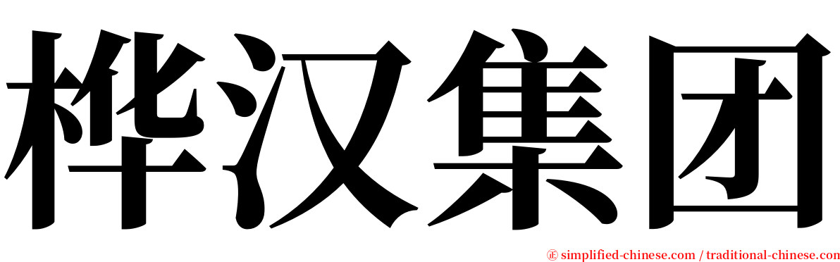 桦汉集团 serif font