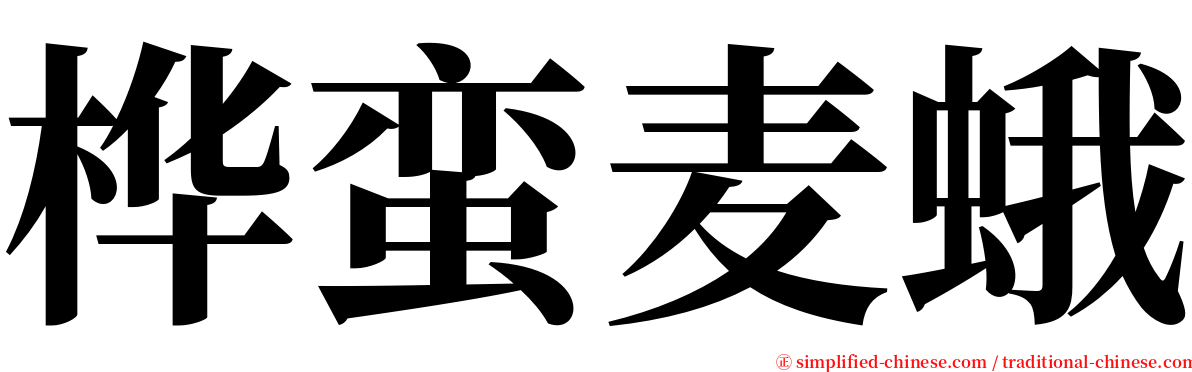 桦蛮麦蛾 serif font