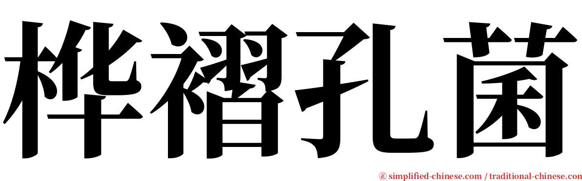 桦褶孔菌 serif font