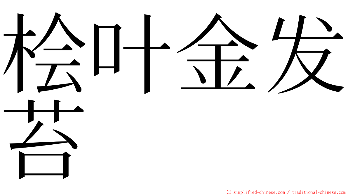 桧叶金发苔 ming font