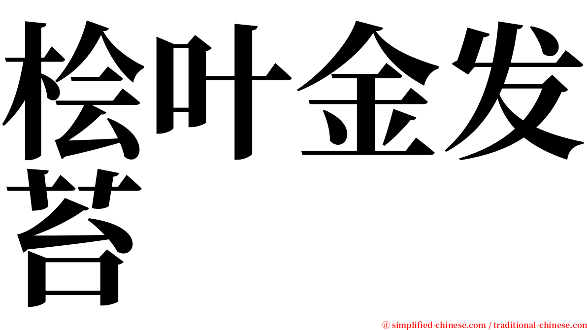 桧叶金发苔 serif font