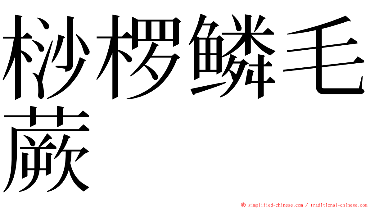 桫椤鳞毛蕨 ming font