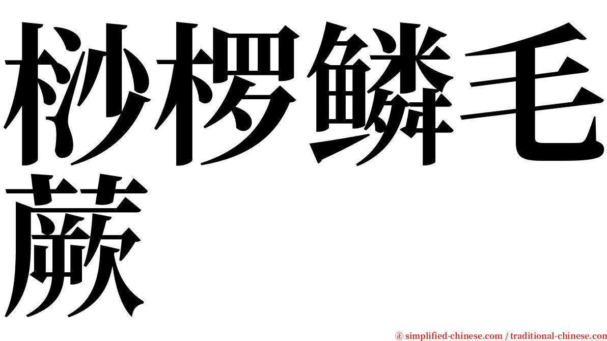 桫椤鳞毛蕨 serif font