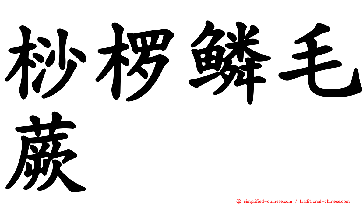 桫椤鳞毛蕨