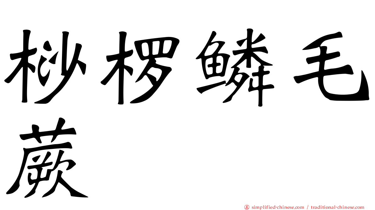 桫椤鳞毛蕨