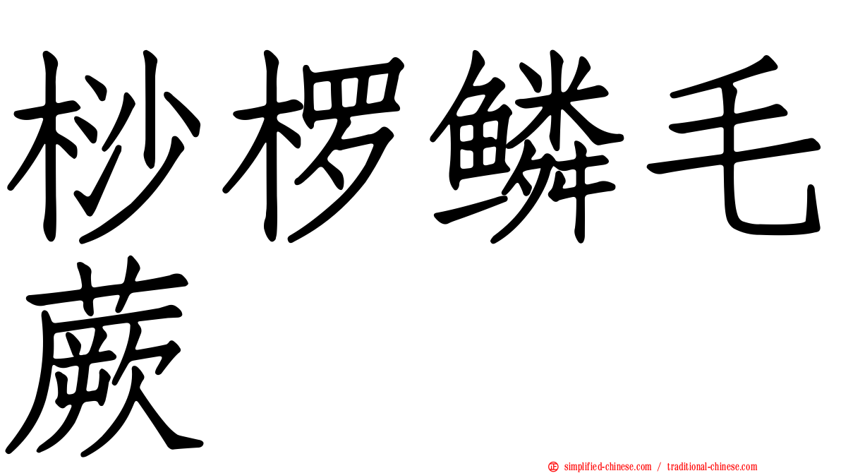 桫椤鳞毛蕨