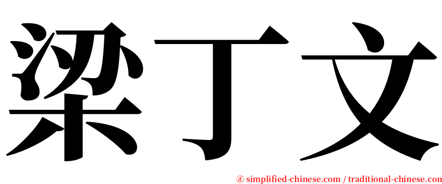梁丁文 serif font