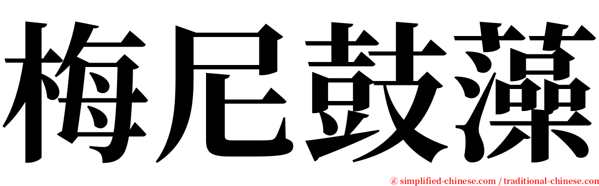 梅尼鼓藻 serif font