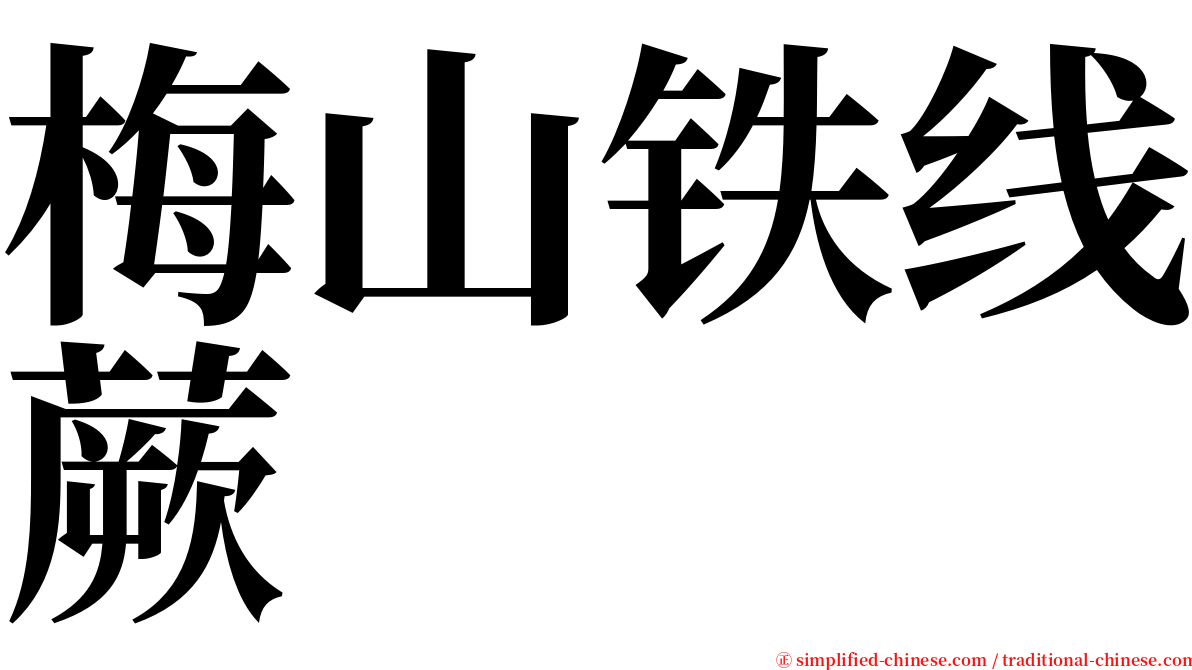 梅山铁线蕨 serif font