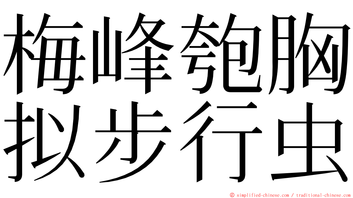 梅峰匏胸拟步行虫 ming font