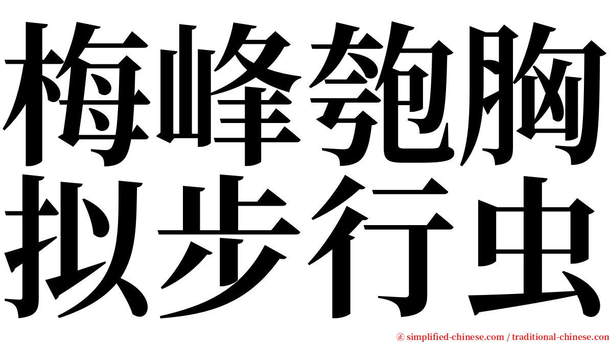 梅峰匏胸拟步行虫 serif font