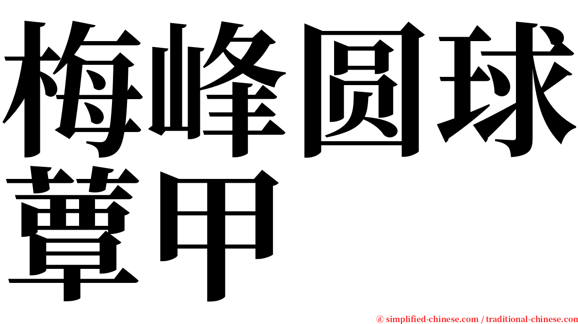 梅峰圆球蕈甲 serif font