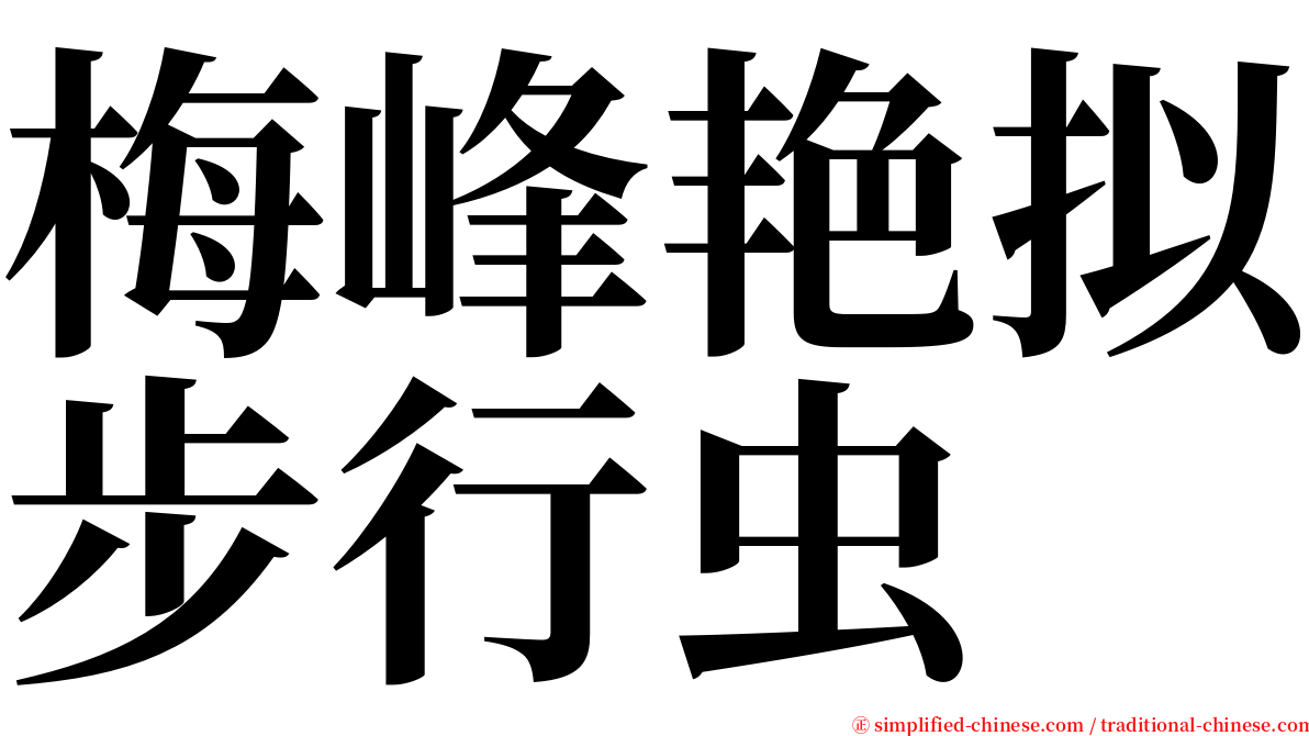 梅峰艳拟步行虫 serif font