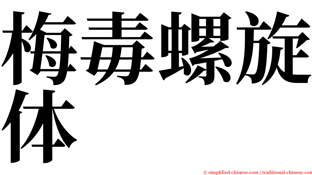 梅毒螺旋体 serif font