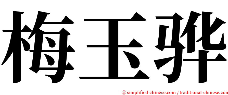 梅玉骅 serif font