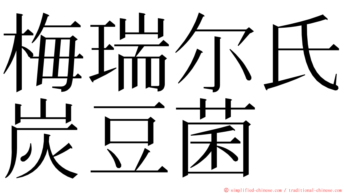 梅瑞尔氏炭豆菌 ming font