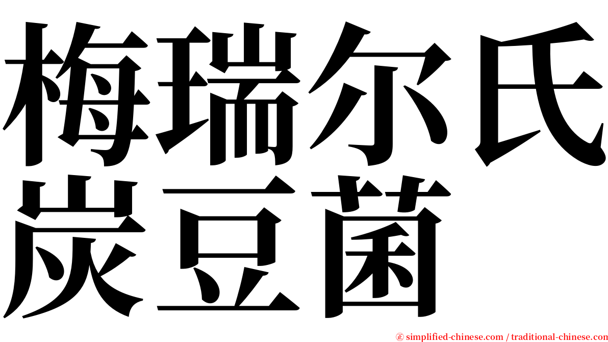 梅瑞尔氏炭豆菌 serif font