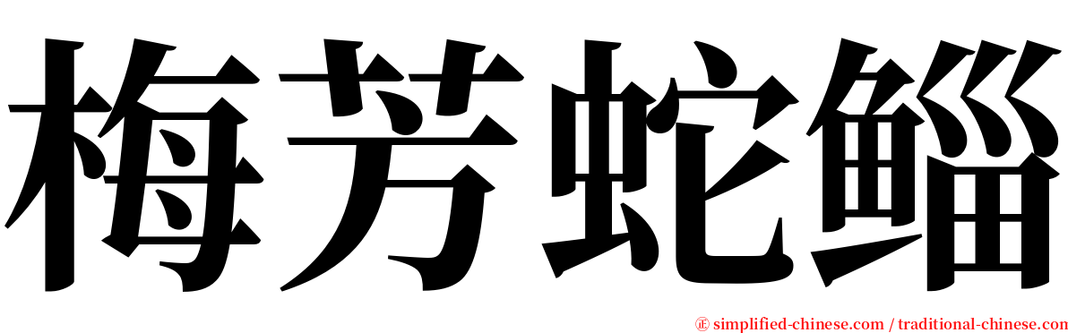 梅芳蛇鲻 serif font