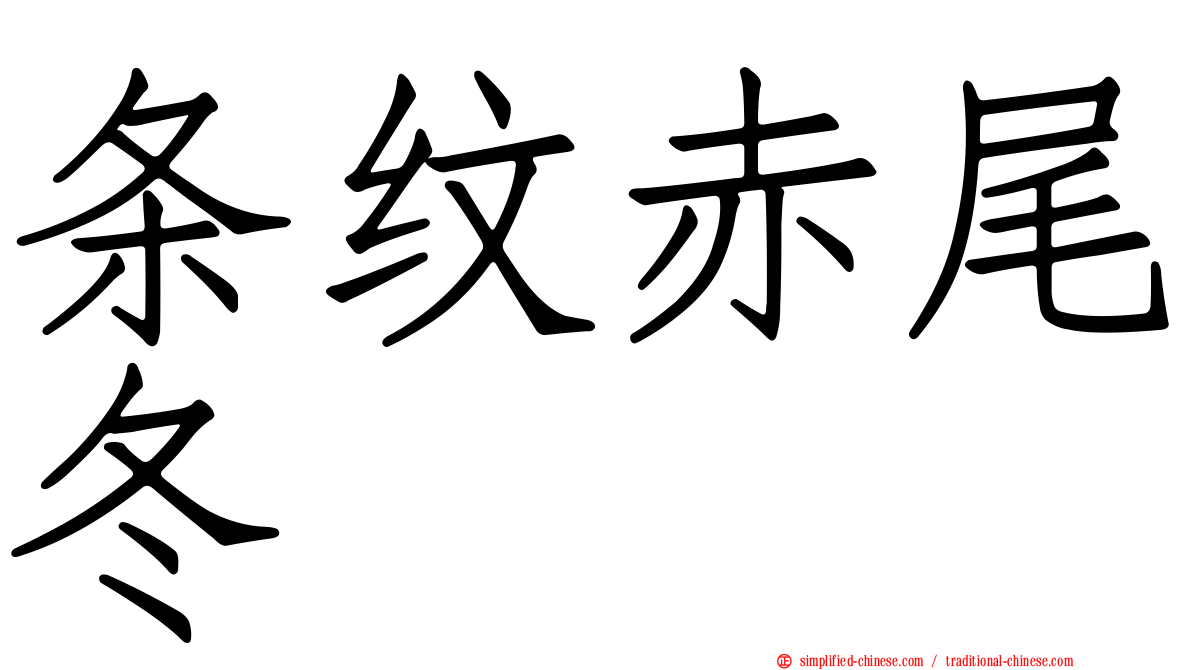 条纹赤尾冬