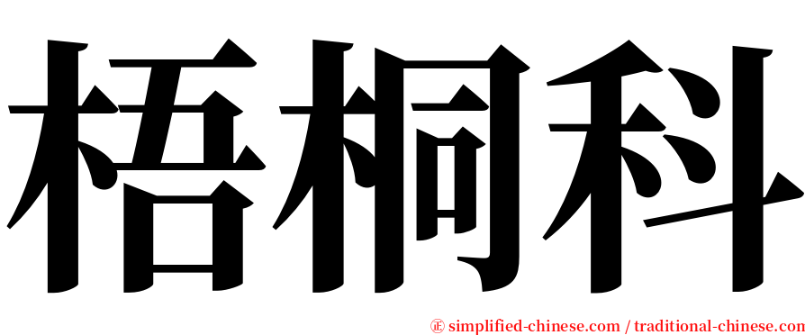梧桐科 serif font