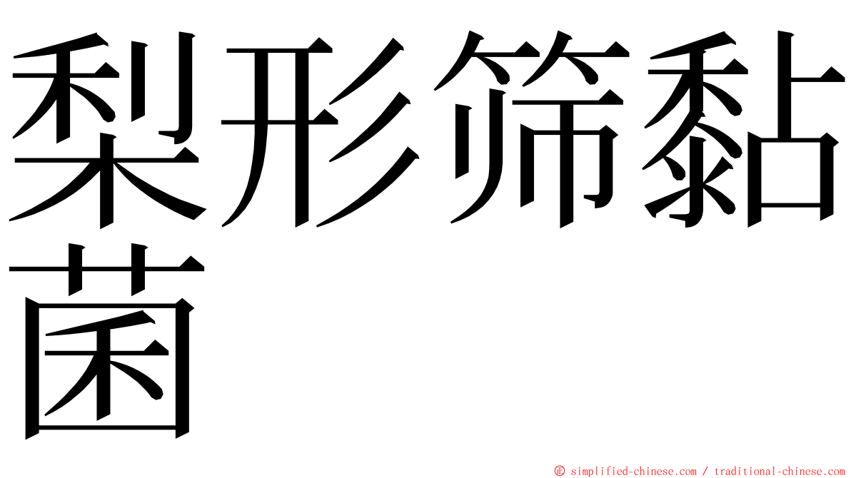 梨形筛黏菌 ming font