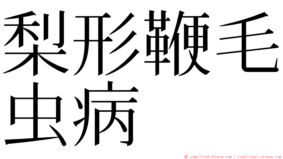 梨形鞭毛虫病 ming font