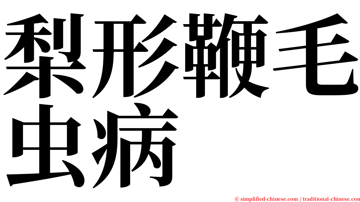 梨形鞭毛虫病 serif font