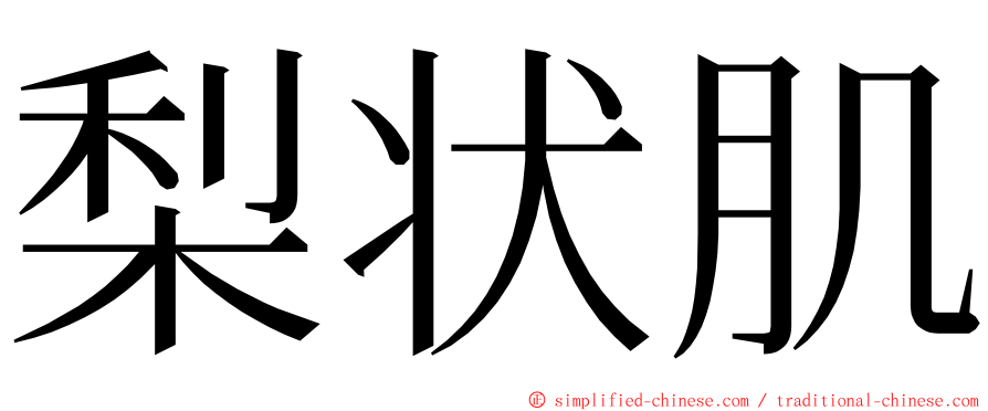 梨状肌 ming font