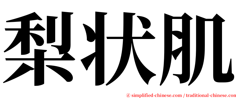 梨状肌 serif font