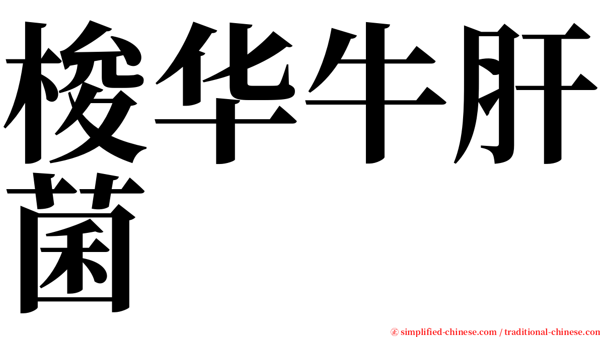 梭华牛肝菌 serif font