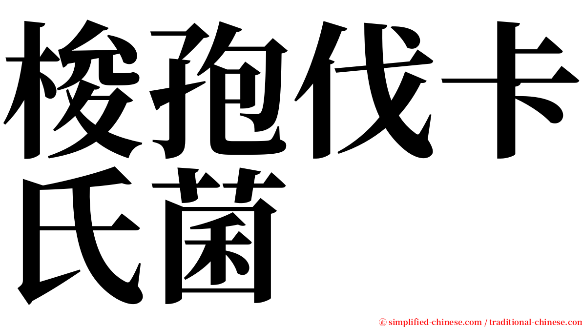 梭孢伐卡氏菌 serif font