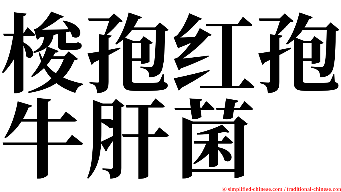 梭孢红孢牛肝菌 serif font