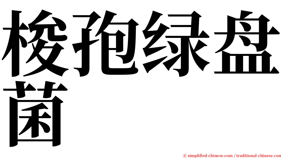 梭孢绿盘菌 serif font