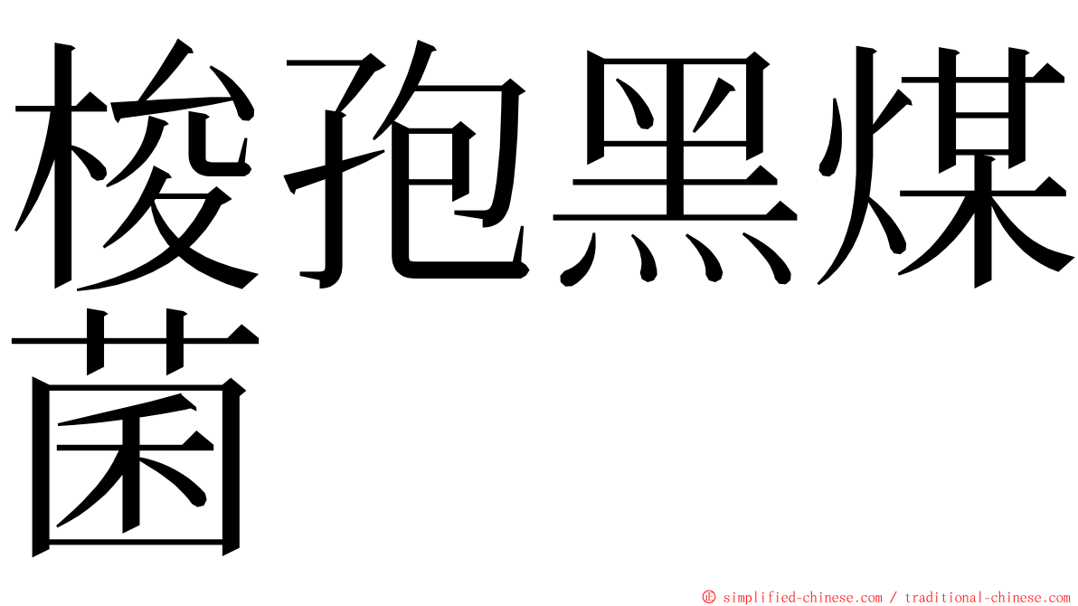 梭孢黑煤菌 ming font