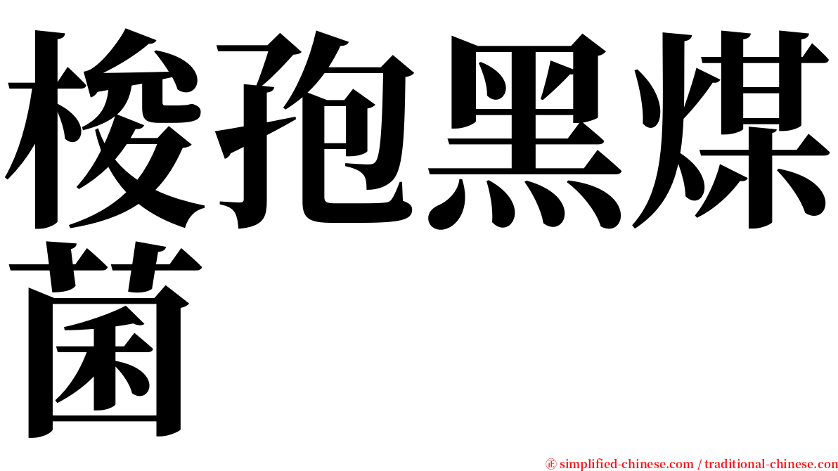 梭孢黑煤菌 serif font