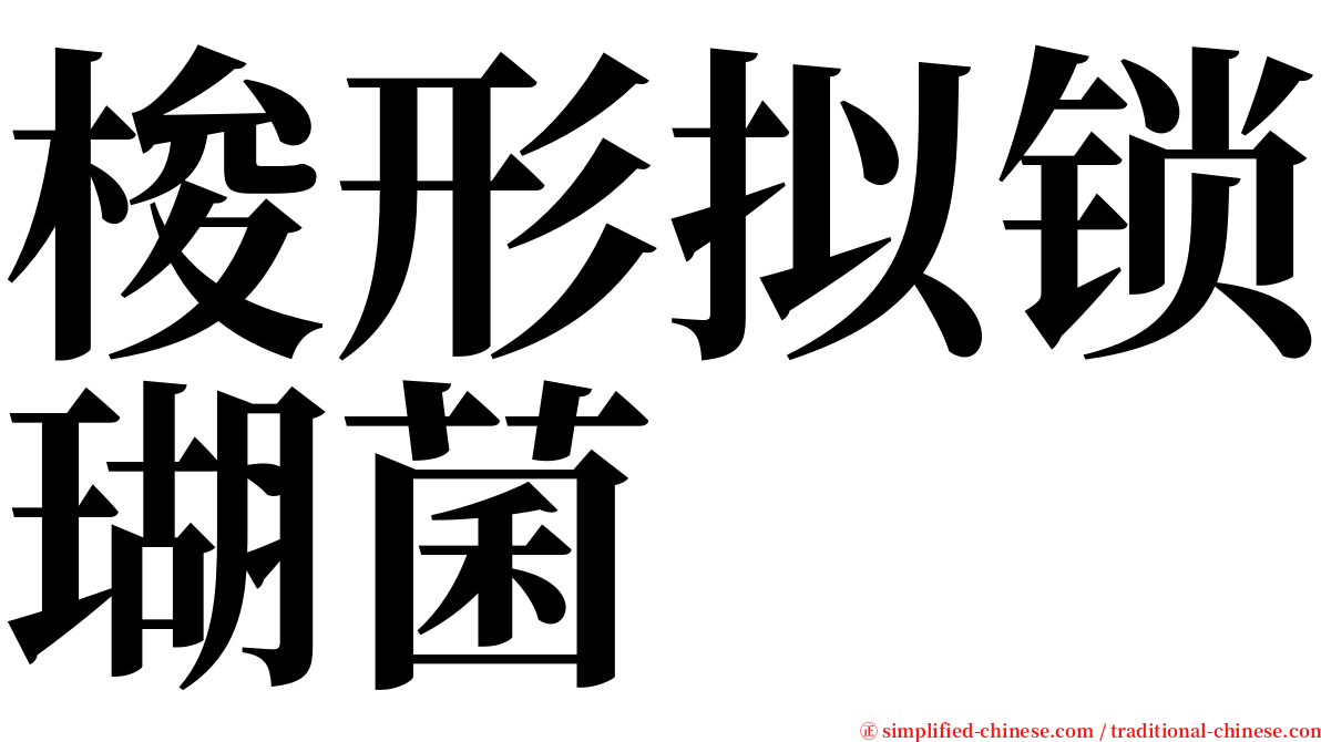 梭形拟锁瑚菌 serif font