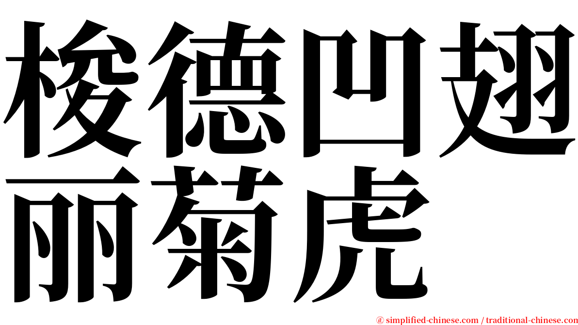 梭德凹翅丽菊虎 serif font