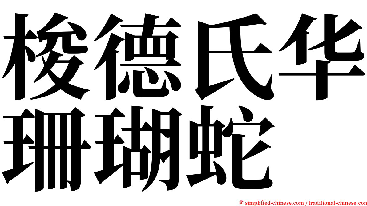 梭德氏华珊瑚蛇 serif font