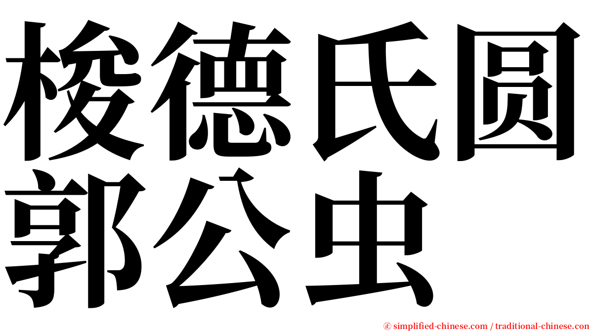 梭德氏圆郭公虫 serif font