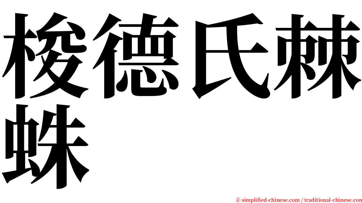 梭德氏棘蛛 serif font