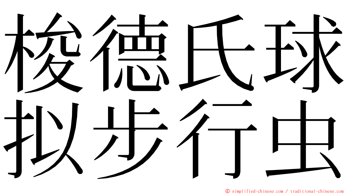 梭德氏球拟步行虫 ming font