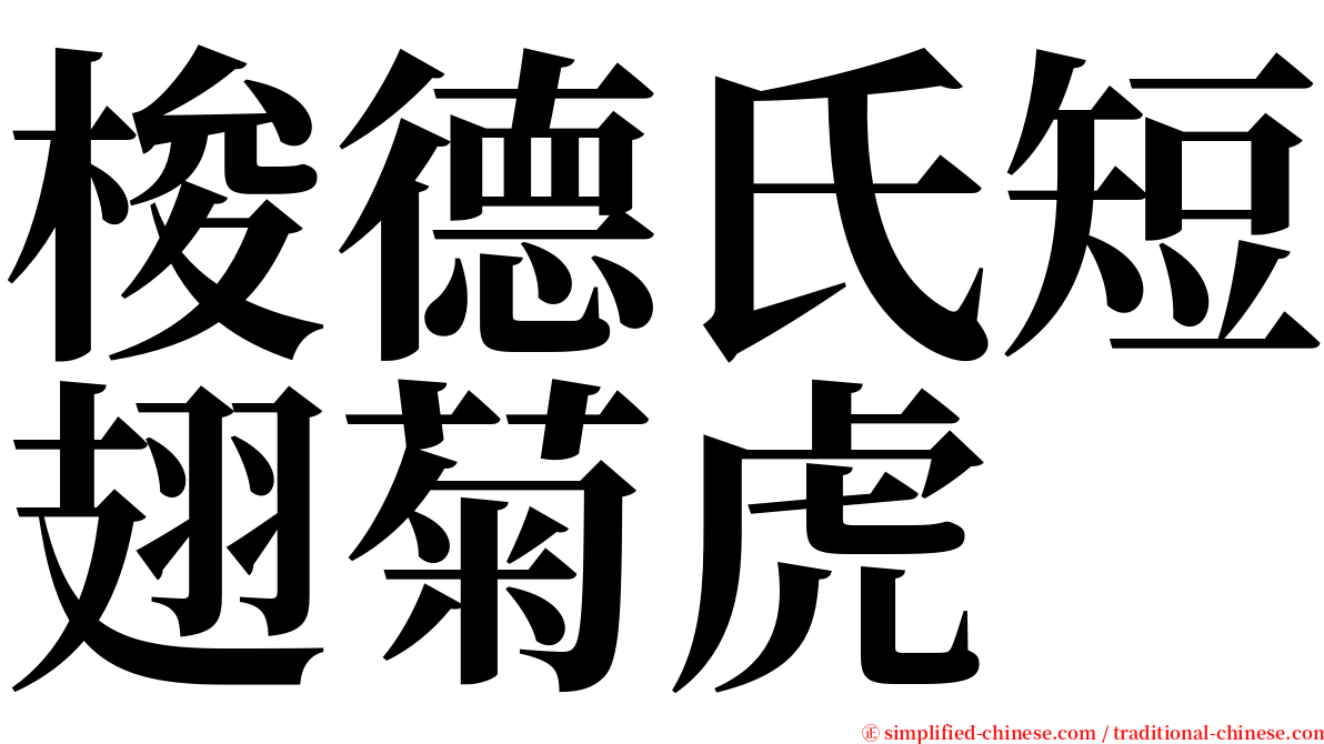 梭德氏短翅菊虎 serif font