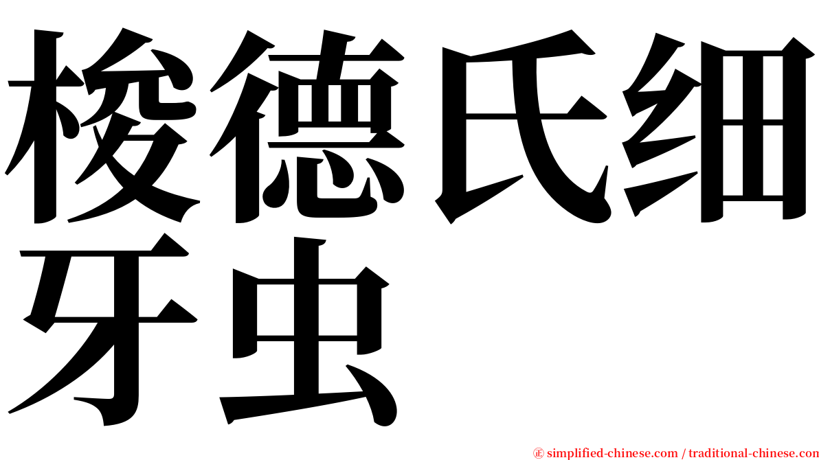 梭德氏细牙虫 serif font